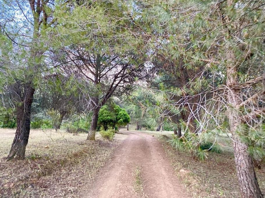 Finca La Alcolehuela En Parque Natural De Despenaperros Santa Elena Ngoại thất bức ảnh