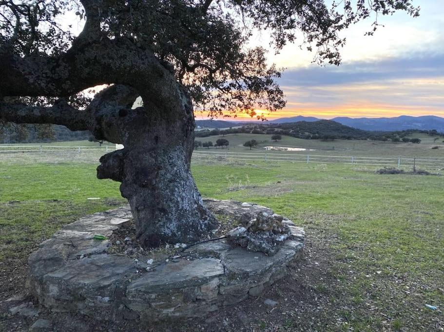 Finca La Alcolehuela En Parque Natural De Despenaperros Santa Elena Ngoại thất bức ảnh