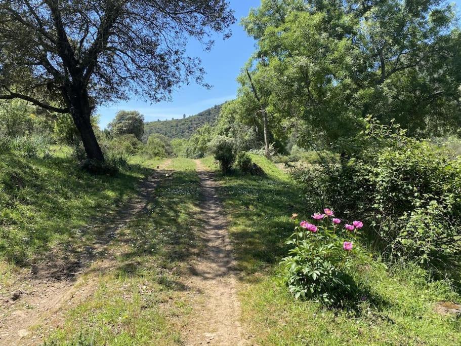 Finca La Alcolehuela En Parque Natural De Despenaperros Santa Elena Ngoại thất bức ảnh